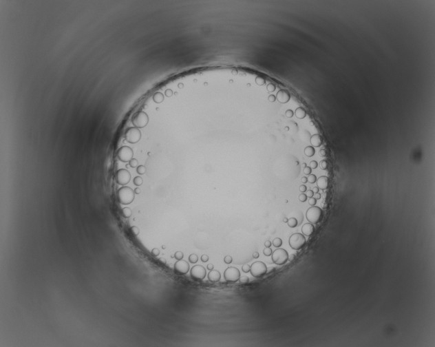 X0000115761126200912241723
