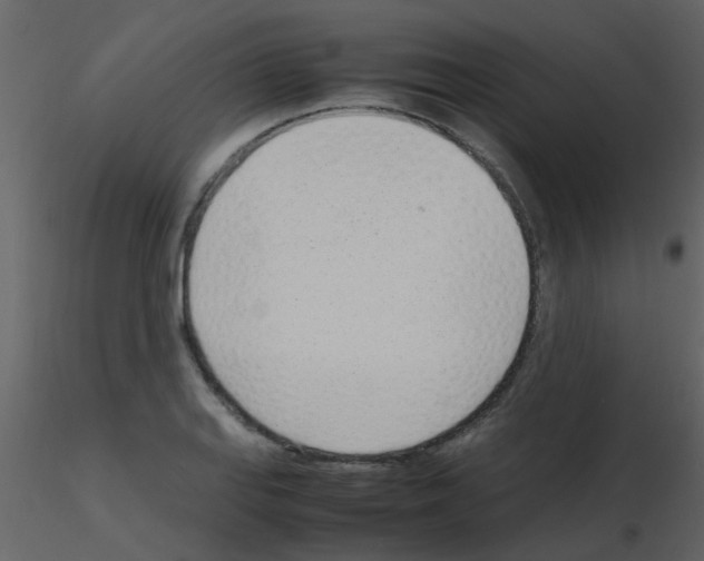 X0000115761127200912241723