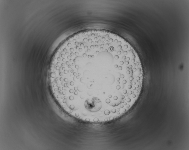 X0000115761130200912241723