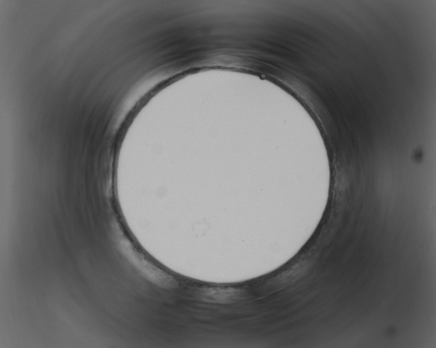 X0000115761131200912241723