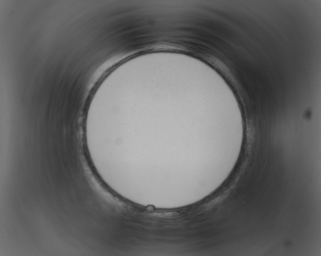 X0000115761133200912241723
