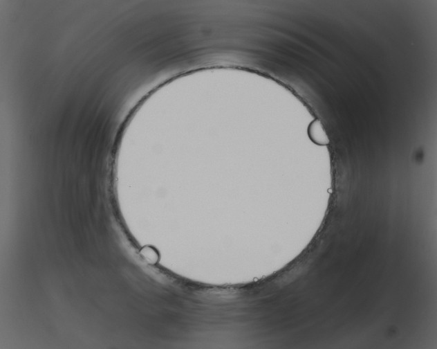 X0000115761134200912241723
