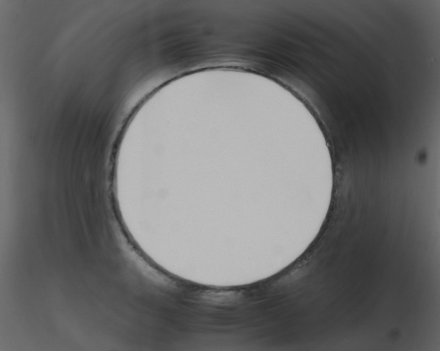 X0000115761135200912241723