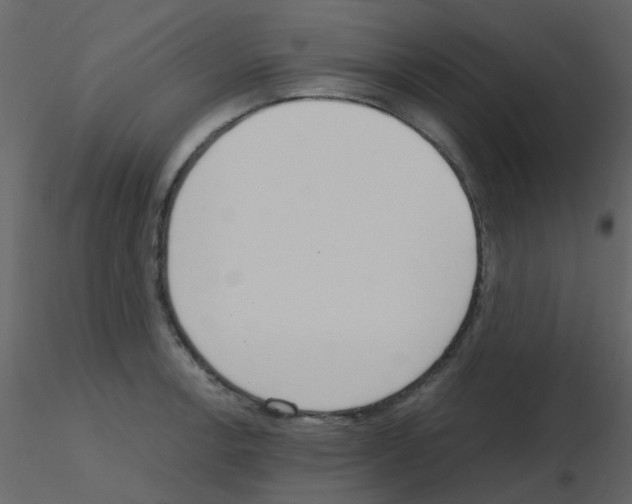X0000115761138200912241723