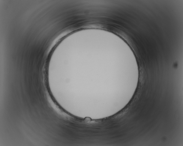 X0000115761139200912241723