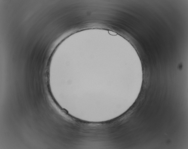 X0000115761142200912241723