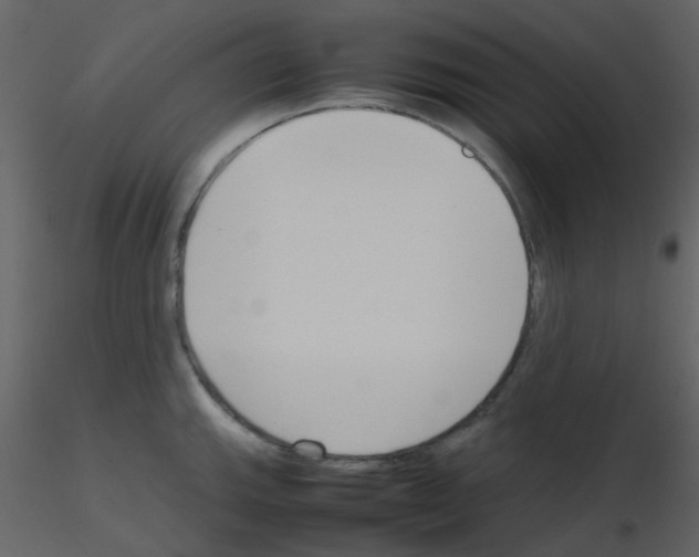 X0000115761143200912241723