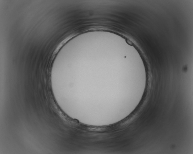 X0000115761145200912241723