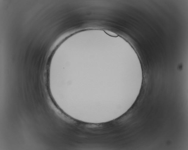 X0000115761147200912241723