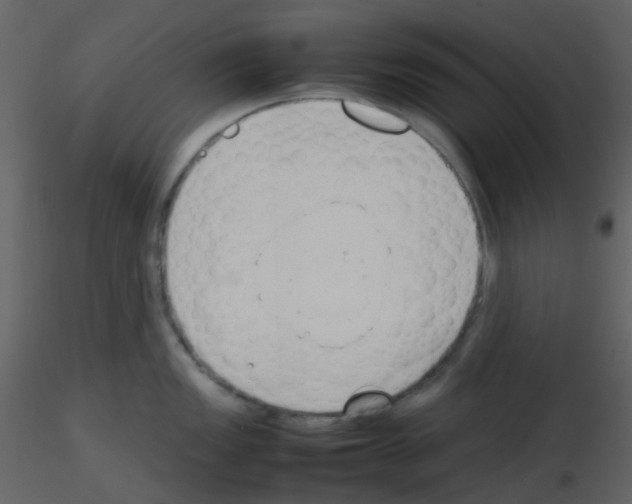 X0000115761149200912241723