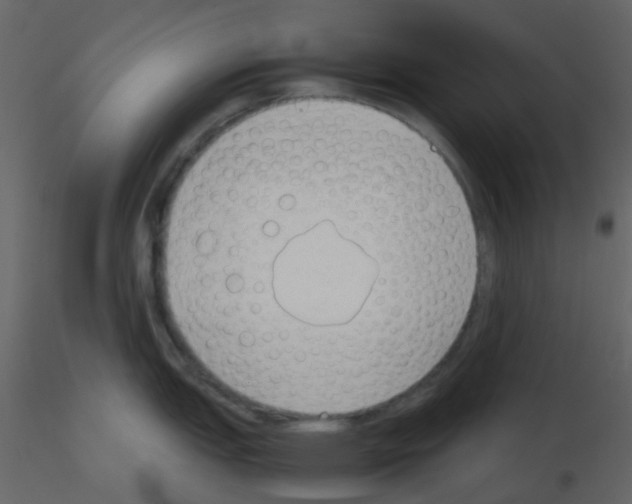 X0000115761151200912241723