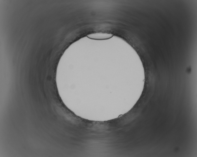 X0000115761153200912241723