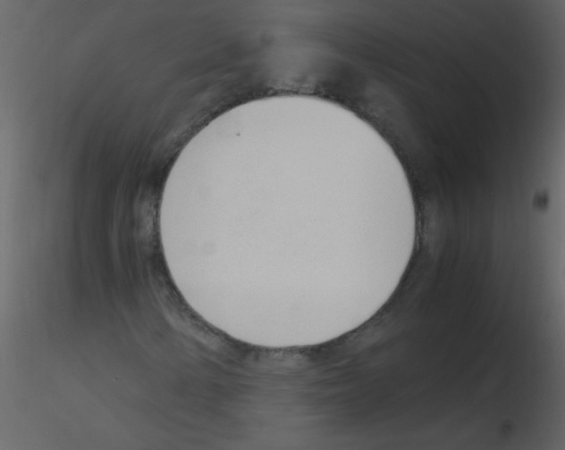 X0000115761154200912241723