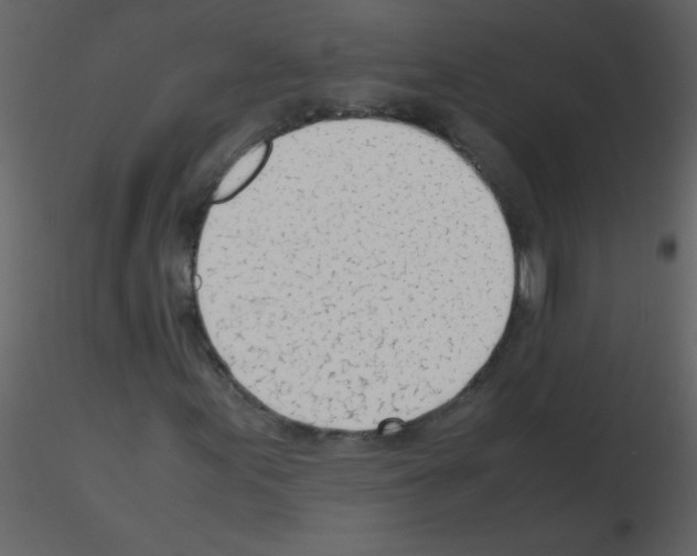 X0000115761155200912241723