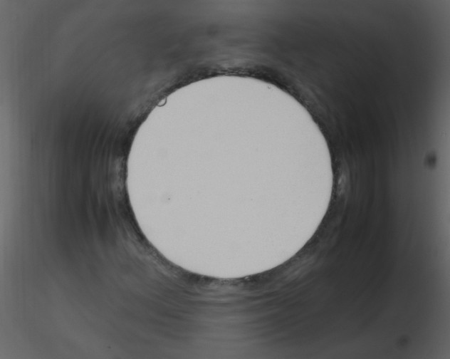 X0000115761156200912241723
