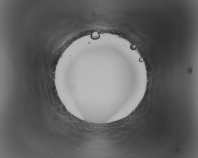 X0000115761157200912241723