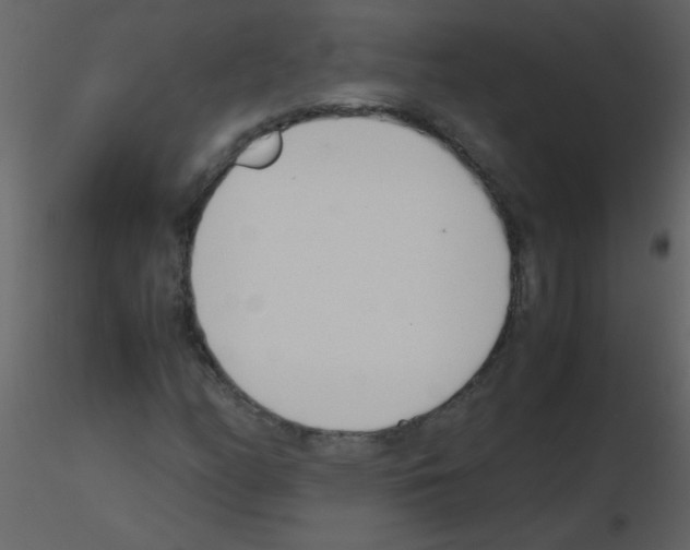 X0000115761158200912241723