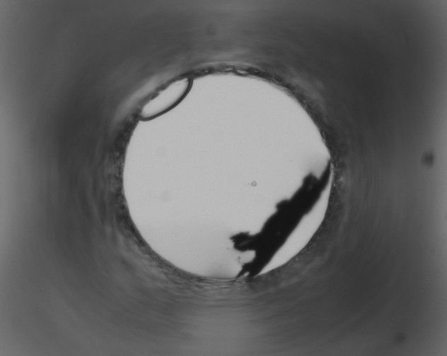 X0000115761159200912241723