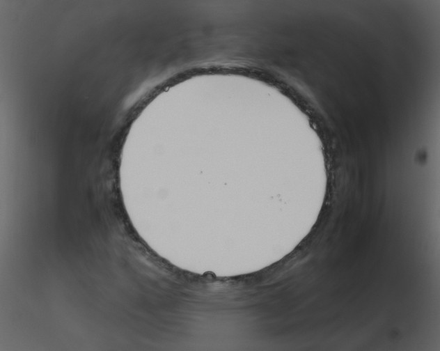 X0000115761160200912241723