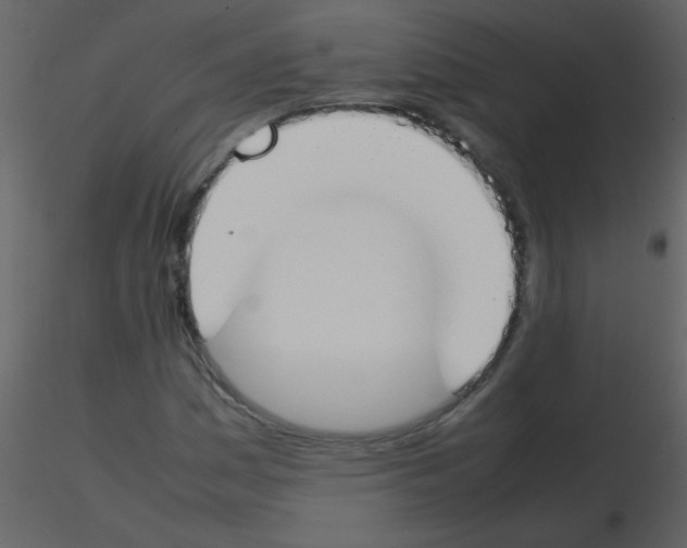 X0000115761161200912241723