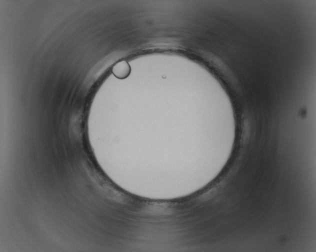 X0000115761162200912241723
