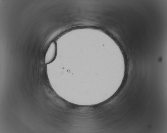 X0000115761163200912241723