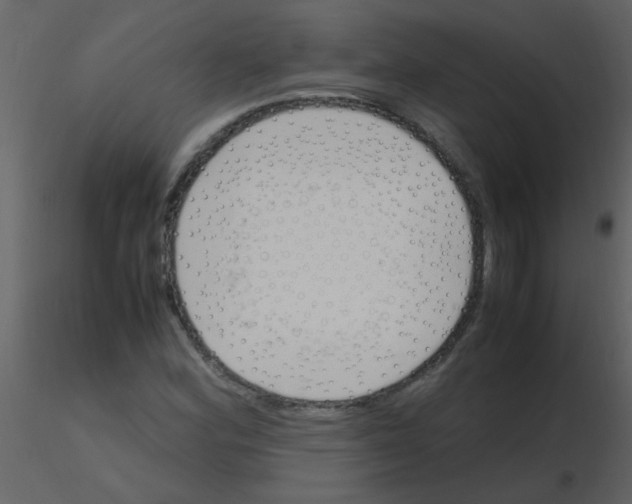 X0000115761164200912241723