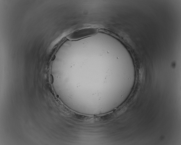 X0000115761165200912241723