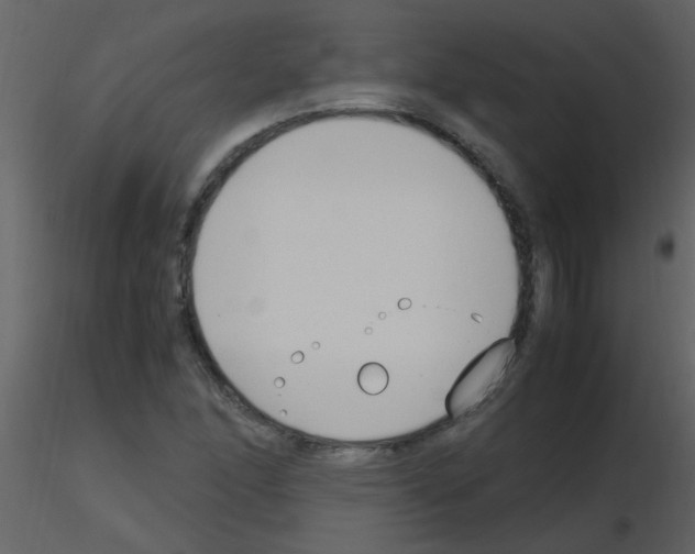 X0000115761166200912241723