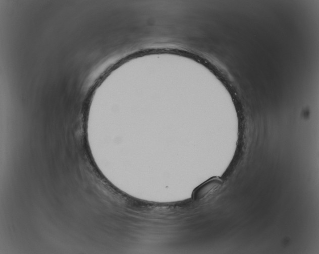 X0000115761167200912241723