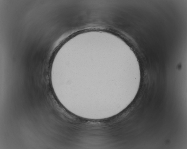 X0000115761168200912241723