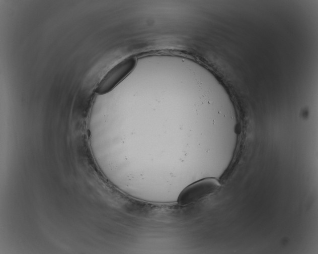 X0000115761169200912241723