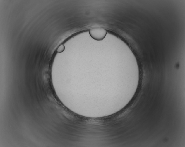 X0000115761170200912241723