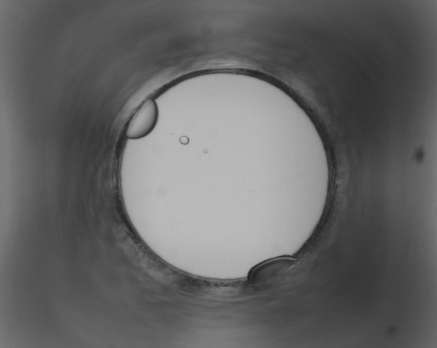 X0000115761173200912241723