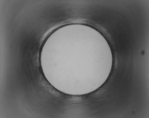 X0000115761174200912241723