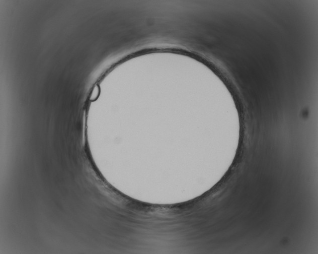 X0000115761175200912241723