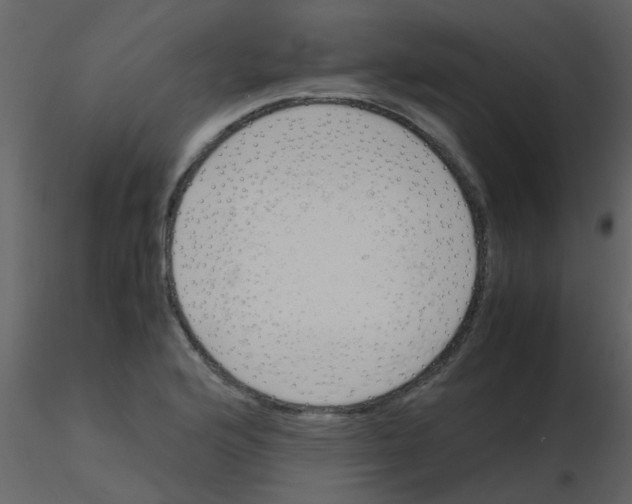 X0000115761176200912241723