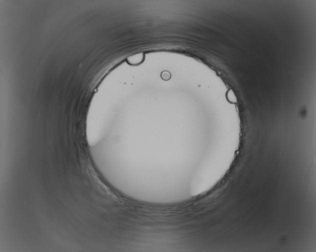 X0000115761177200912241723