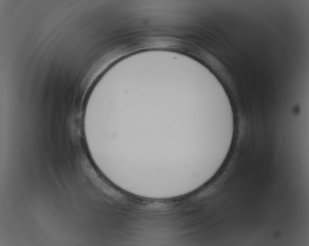 X0000115761178200912241723