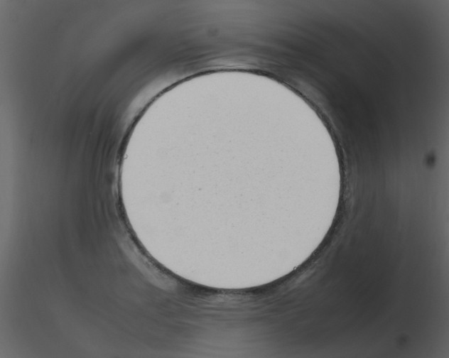 X0000115761179200912241722
