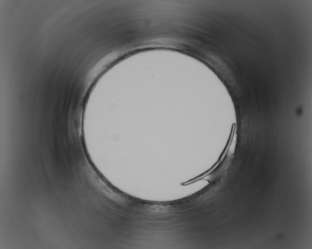 X0000115761180200912241722