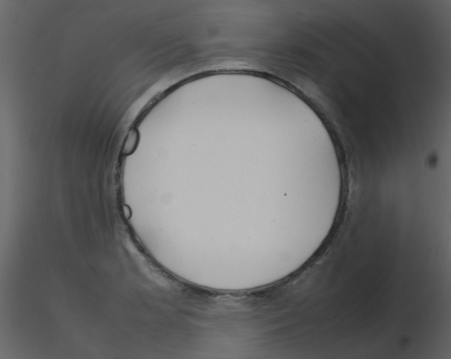 X0000115761181200912241722