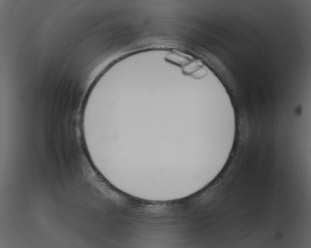 X0000115761182200912241722
