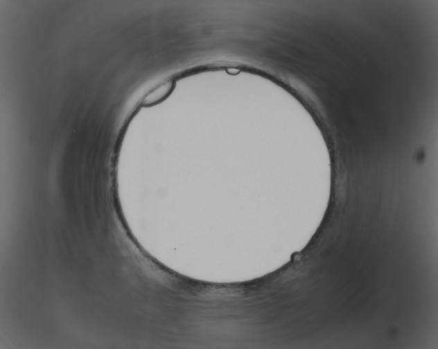 X0000115761183200912241722