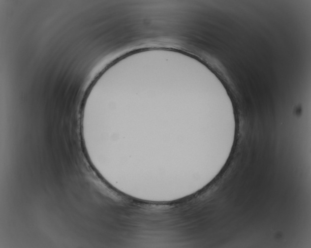X0000115761184200912241722