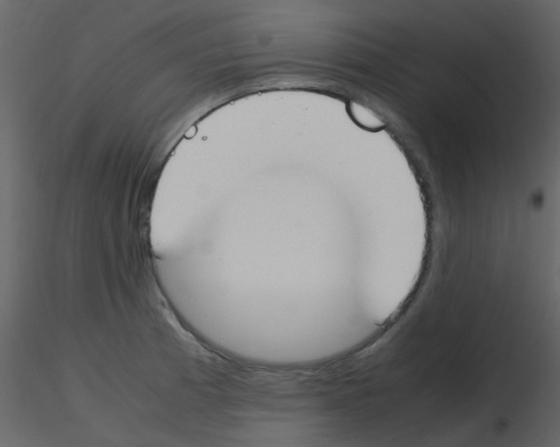 X0000115761185200912241722