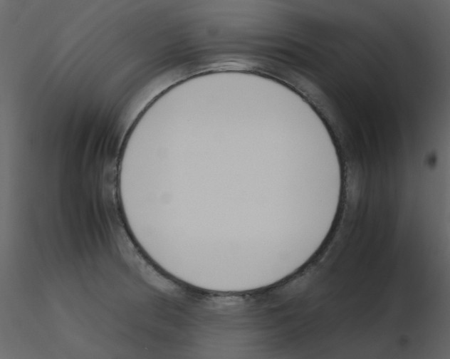 X0000115761186200912241722