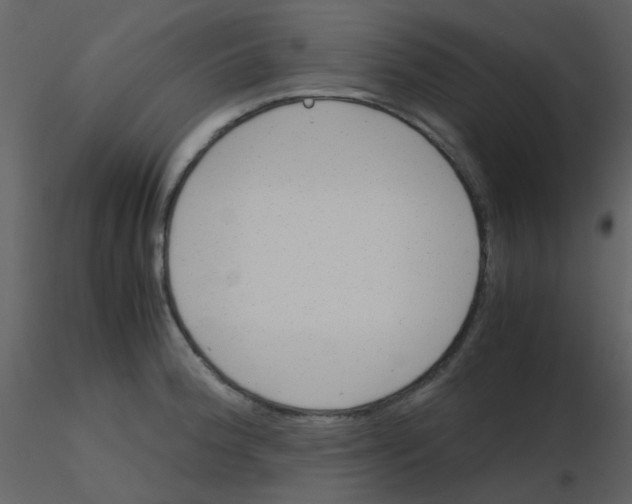 X0000115761188200912241722