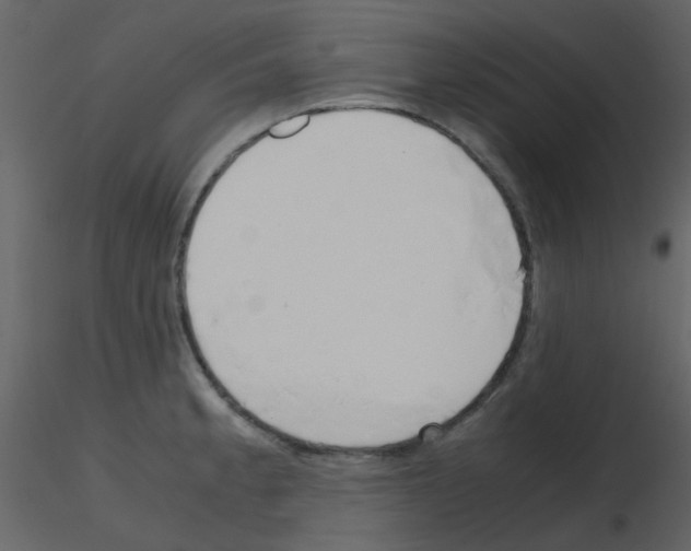 X0000115761189200912241722