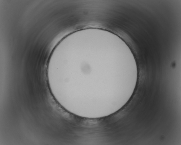 X0000115761190200912241722